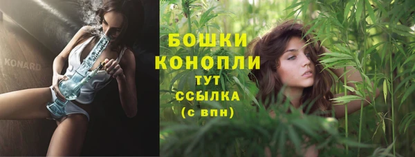 молекула духа Верхний Тагил