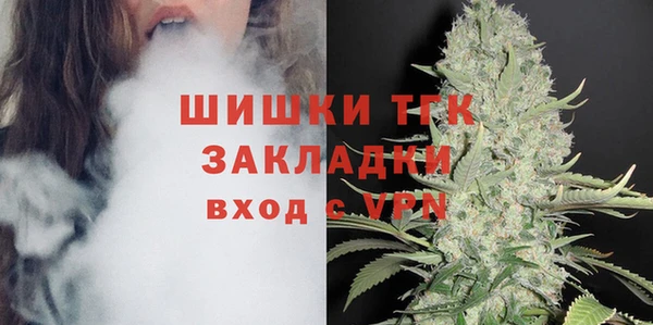 молекула духа Верхний Тагил