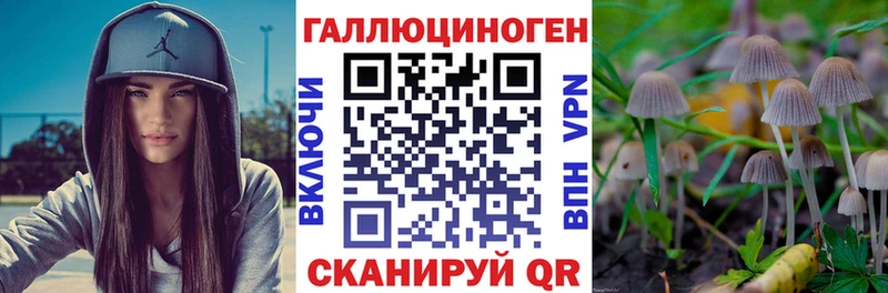 Псилоцибиновые грибы Psilocybe Зуевка