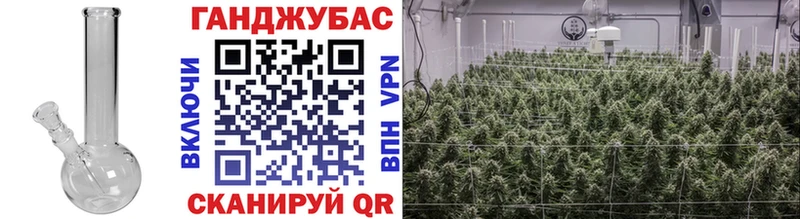 сколько стоит  Зуевка  Бошки марихуана сатива 